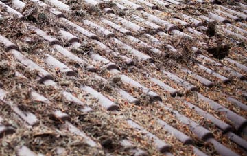 Barnluasgan roof cleaning companies