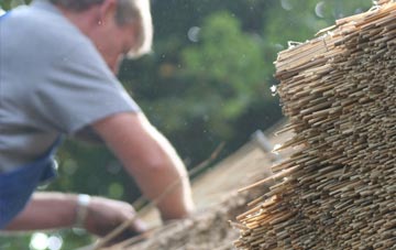 professional Barnluasgan thatchers